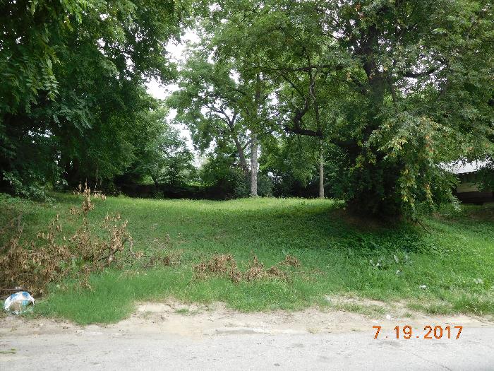 Wyandotte Public Access > Property Detail